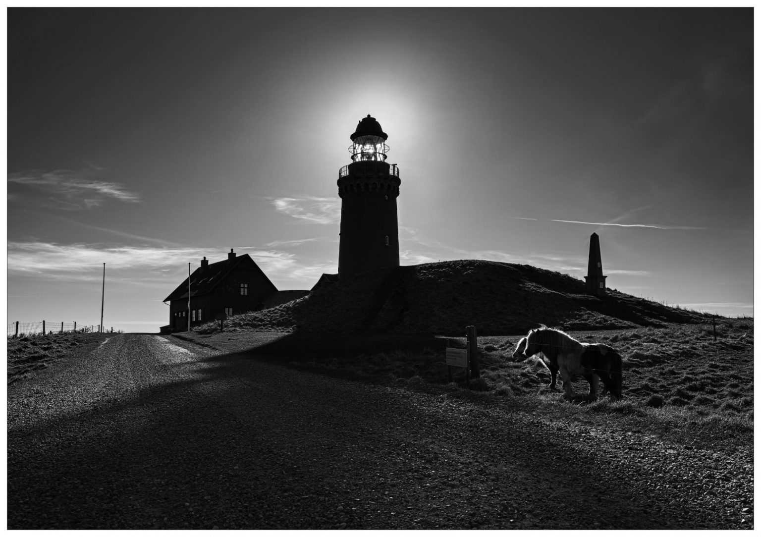 fotografie vom negativ hergestellte positivkopie